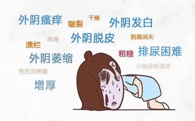 外阴白斑患者吃哪些食物可以补充维生素?